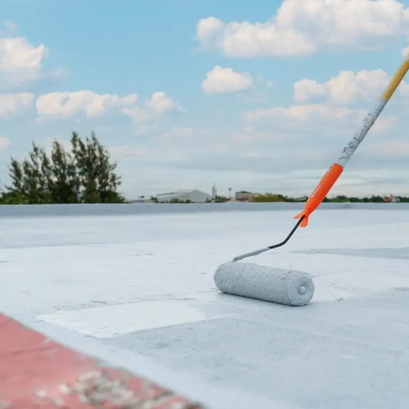 Waterproofing for Roof & Terraces